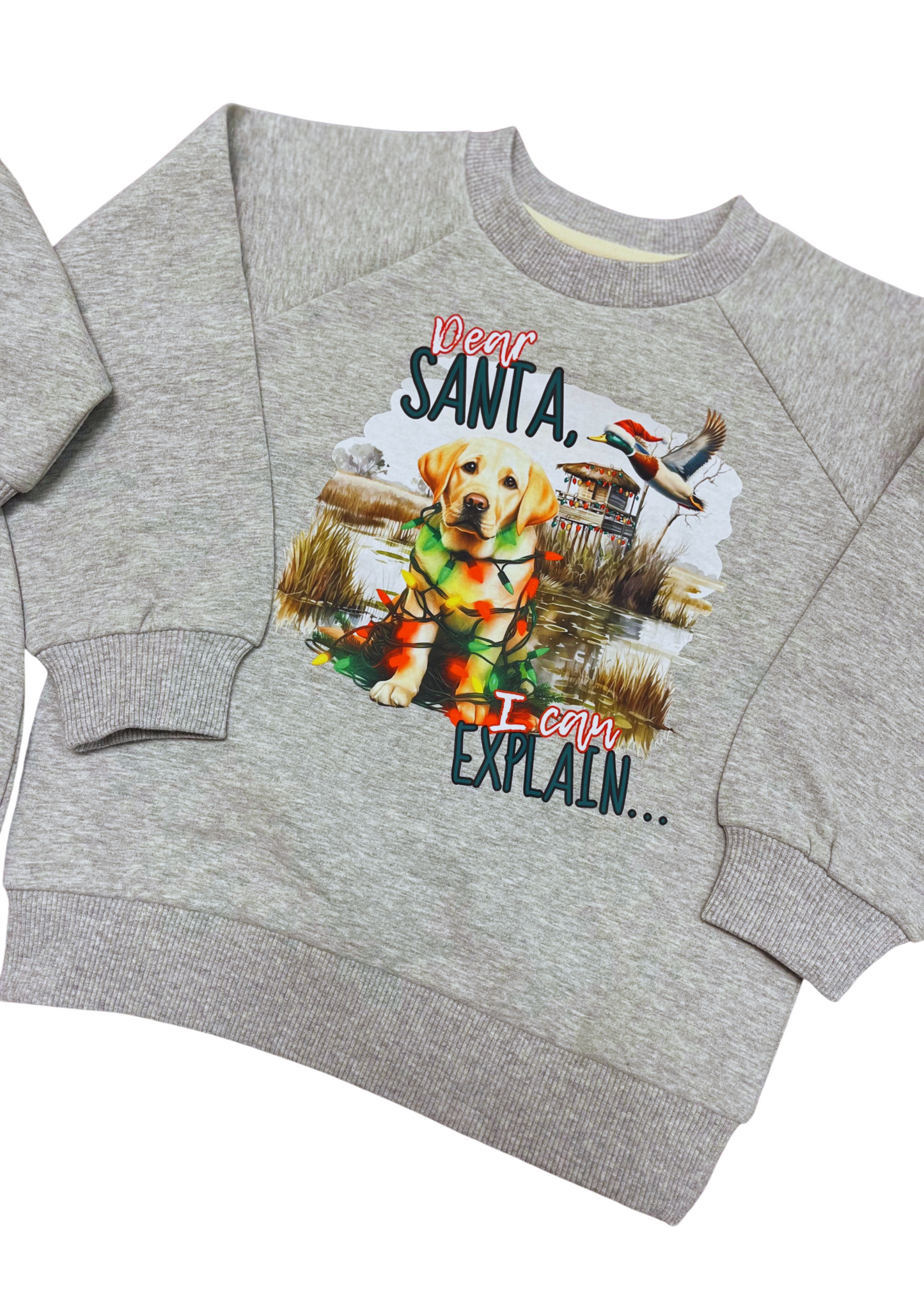 Dear Santa, I can explain
