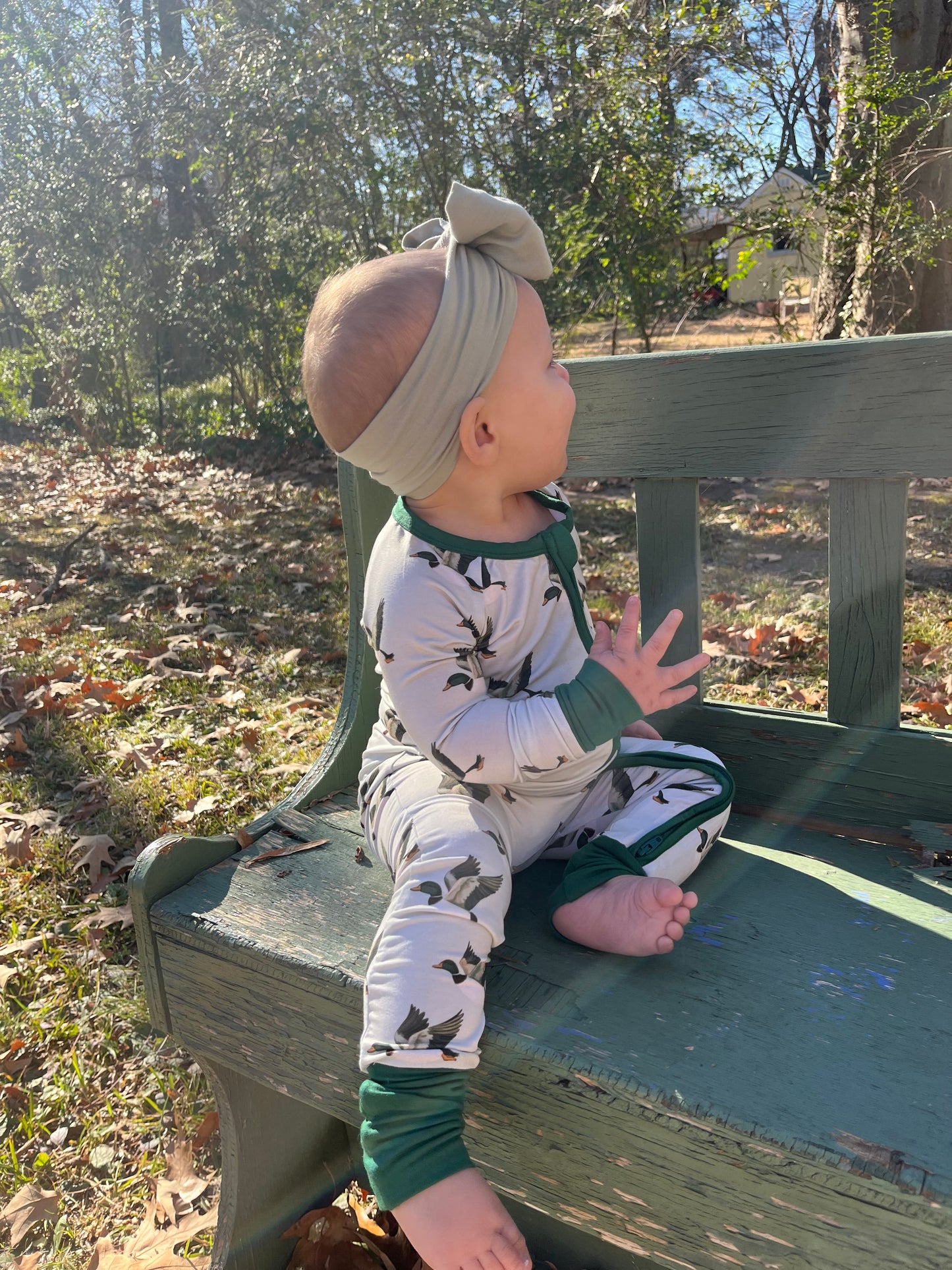 Dreaming About Ducks