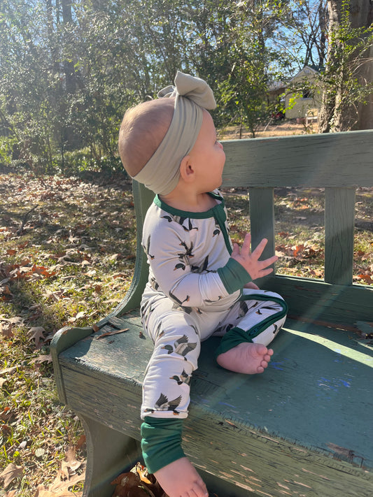 Dreaming About Ducks