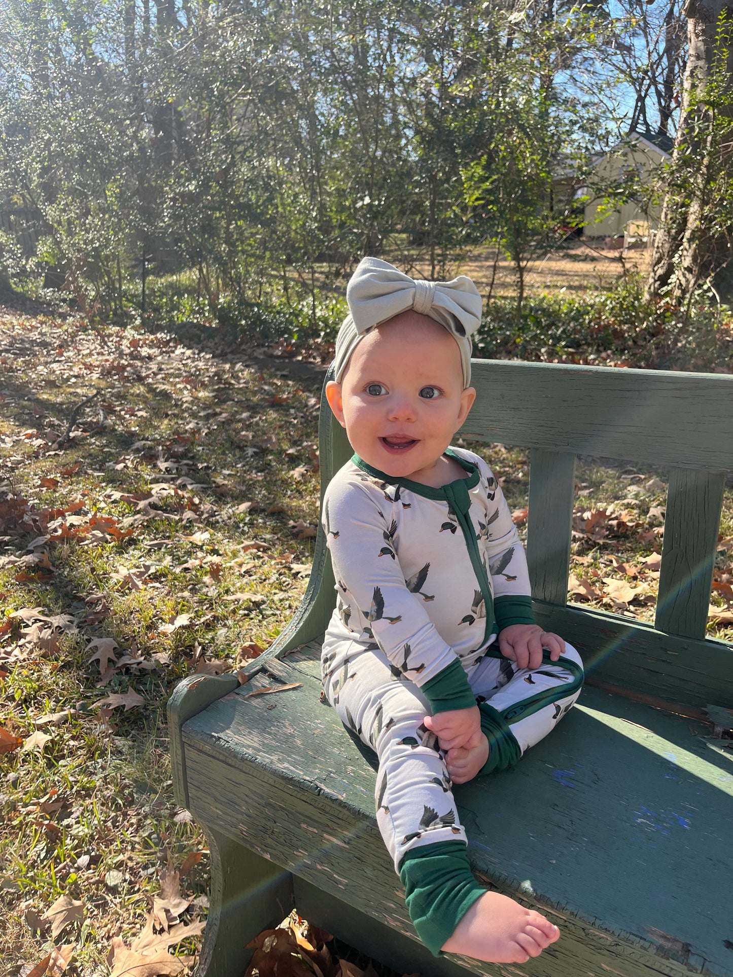 Dreaming About Ducks