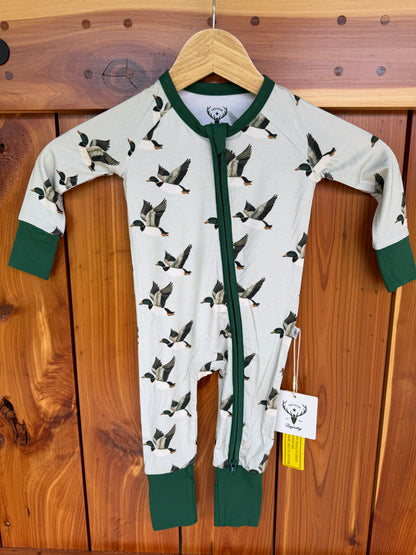 Dreaming About Ducks